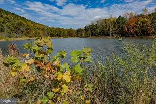 790 Warden Lake A B Dr, Wardensville, WV 26851 - Photo 45