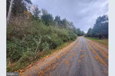 Lot 3 Wildlife Drive, Lost City, WV 26810 - Photo 5