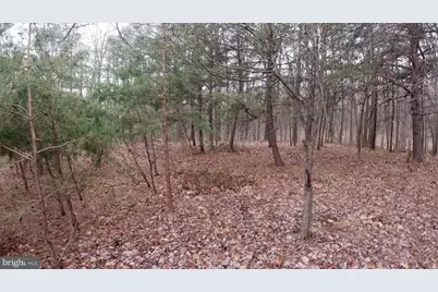 Lot 51 Far Meadows Road, Delray, WV 26714 - Photo 3