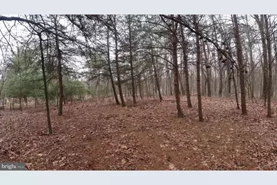 Lot 51 Far Meadows Road, Delray, WV 26714 - Photo 9