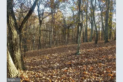 Acorn/Solitude, Romney, WV 26757 - Photo 7