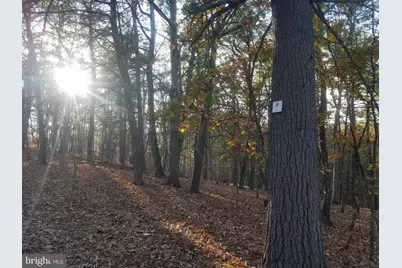 Acorn/Solitude, Romney, WV 26757 - Photo 1