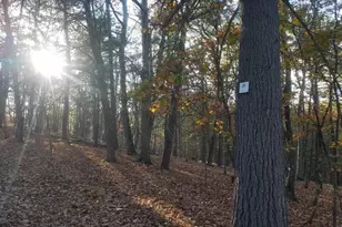 Acorn/Solitude, Romney, WV 26757 - Photo 1