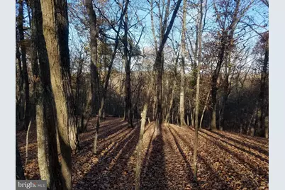 Acorn/Solitude, Romney, WV 26757 - Photo 5