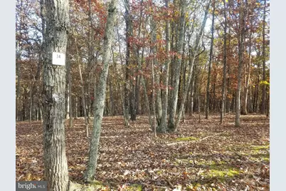 Acorn Lane, Romney, WV 26757 - Photo 5