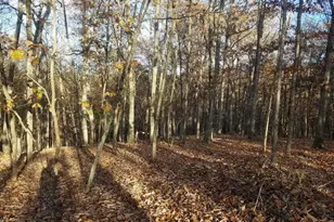 Acorn Ln, Romney, WV 26757 - Photo 1