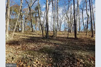 Church Hollow Road, Romney, WV 26757 - Photo 9