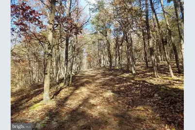 Church Hollow Road, Romney, WV 26757 - Photo 3