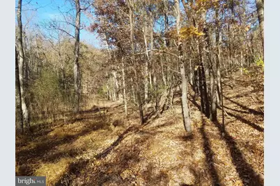 Church Hollow Road, Romney, WV 26757 - Photo 5