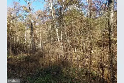 Church Hollow Road, Romney, WV 26757 - Photo 7