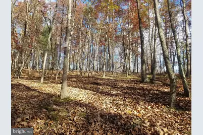 Church Hollow Road, Romney, WV 26757 - Photo 11