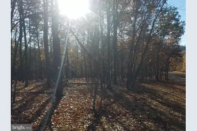 Crystal Valley Drive, Romney, WV 26757 - Photo 5