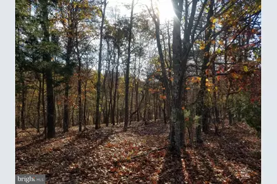 Crystal Valley Drive, Romney, WV 26757 - Photo 9