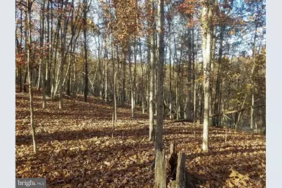 Turkey Hollow Road, Romney, WV 26757 - Photo 3