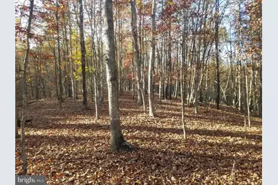 Turkey Hollow Road, Romney, WV 26757 - Photo 5