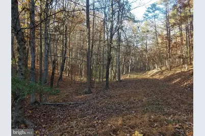 Turkey Hollow Road, Romney, WV 26757 - Photo 13