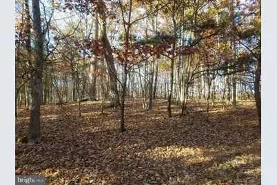 Turkey Hollow Road, Romney, WV 26757 - Photo 9