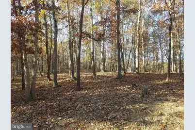 Turkey Hollow Road, Romney, WV 26757 - Photo 7