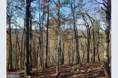 Crystal Mountain View Lane, Romney, WV 26757 - Photo 7