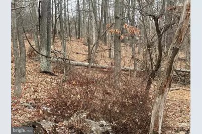 Lot 40 Wild Apple Lane, Paw Paw, WV 25434 - Photo 11