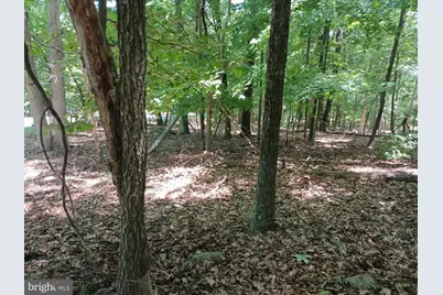 Lot 40 Wild Apple Lane, Paw Paw, WV 25434 - Photo 19