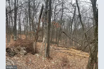 Lot 40 Wild Apple Lane, Paw Paw, WV 25434 - Photo 27