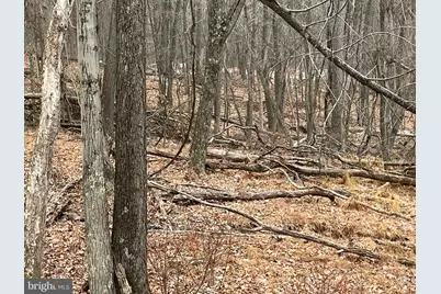 Lot 40 Wild Apple Lane, Paw Paw, WV 25434 - Photo 9