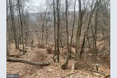 Lot 40 Wild Apple Lane, Paw Paw, WV 25434 - Photo 37