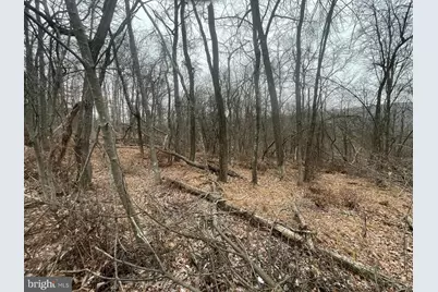 Lot 40 Wild Apple Lane, Paw Paw, WV 25434 - Photo 29