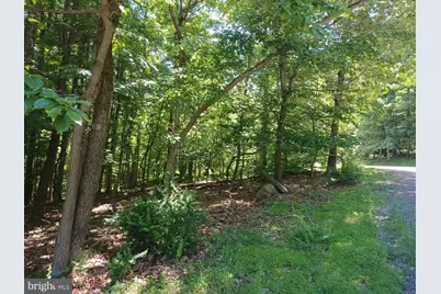Lot 40 Wild Apple Lane, Paw Paw, WV 25434 - Photo 21