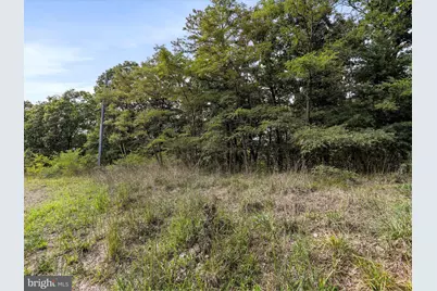 Cardinal Ridge Estates, Romney, WV 26757 - Photo 15