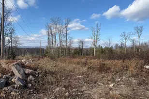 Capon Woods Resort, High View, WV 26808 - Photo 1