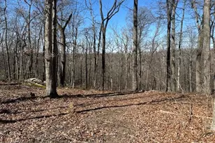 2 08 Acres Deer Path Rd, Augusta, WV 26704 - Photo 1