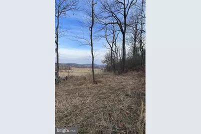 Tbd Hummingbird Lane Lane #LOT 1A, Capon Bridge, WV 26711 - Photo 7