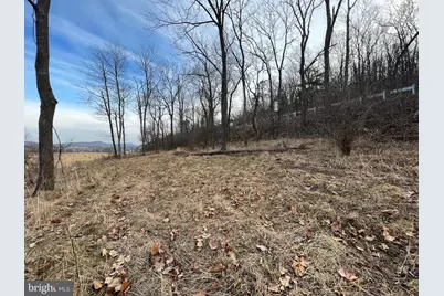 Tbd Hummingbird Lane Lane #LOT 1A, Capon Bridge, WV 26711 - Photo 1