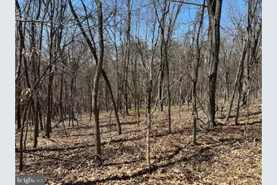 Lot 28 Pear Lane, Romney, WV 26757 - Photo 3