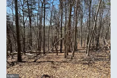 Lot 28 Pear Lane, Romney, WV 26757 - Photo 9