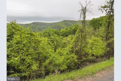 Lot 213 Hampshire Ridge, Romney, WV 26757 - Photo 5