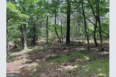 2.23 Ac Doe Trail, Springfield, WV 26763 - Photo 5