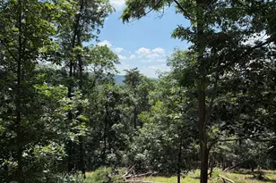 243 Bluffs On The Potomac, Romney, WV 26757 - Photo 1