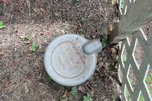 5787 Bloomery Pike, Augusta, WV 26704 - Photo 3