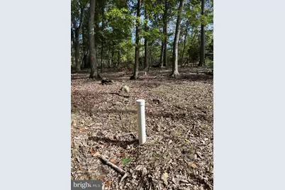 853 Janes Way, High View, WV 26808 - Photo 33