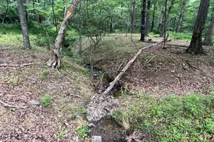 853 Janes Way, High View, WV 26808 - Photo 29