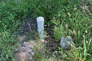 624 Mountain Lion Ln, Augusta, WV 26704 - Photo 27