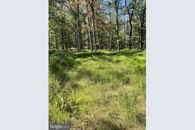 624 Mountain Lion Lane, Augusta, WV 26704 - Photo 33