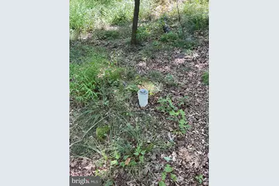 624 Mountain Lion Lane, Augusta, WV 26704 - Photo 31