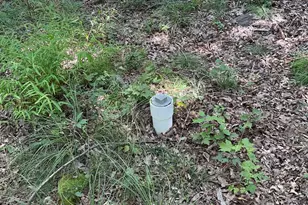 624 Mountain Lion Ln, Augusta, WV 26704 - Photo 31