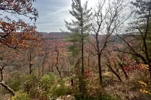 444 Nugget Dr, Capon Bridge, WV 26711 - Photo 17