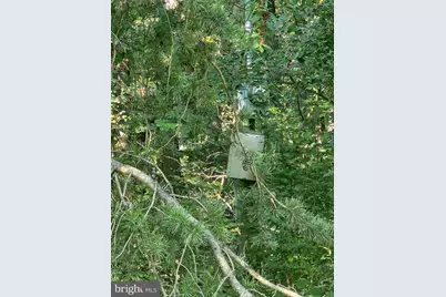 Lot 79 Mystic Mountain Boulevard, Delray, WV 26714 - Photo 9