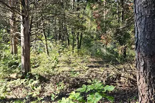 Lot 79 Mystic Mountain Blvd, Delray, WV 26714 - Photo 1